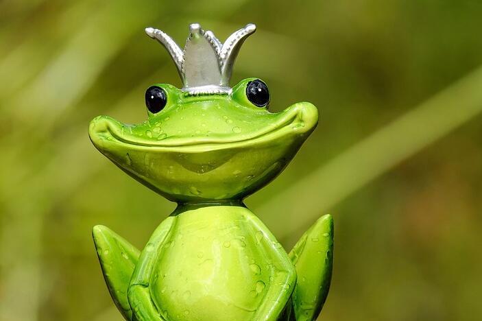 青蛙王子的童话故事