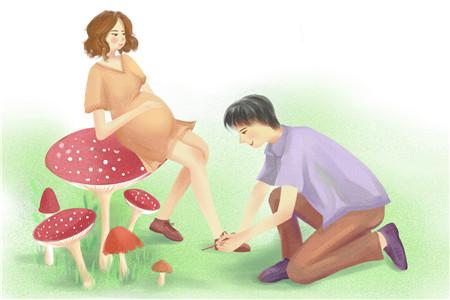 2019生男生女清宫表 提前备孕