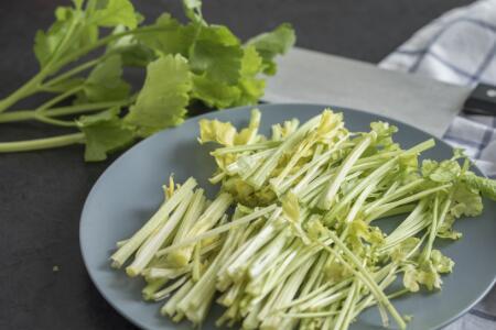 水芹菜和毒芹的区别