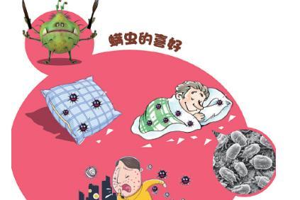 被螨虫咬的症状图片