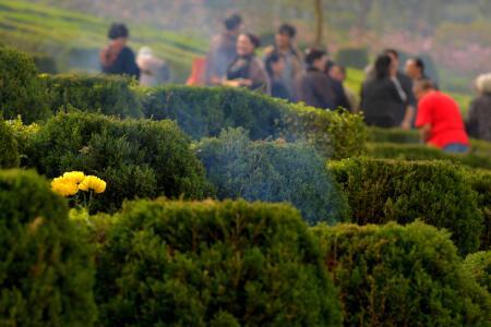 月经期能上坟祭奠吗