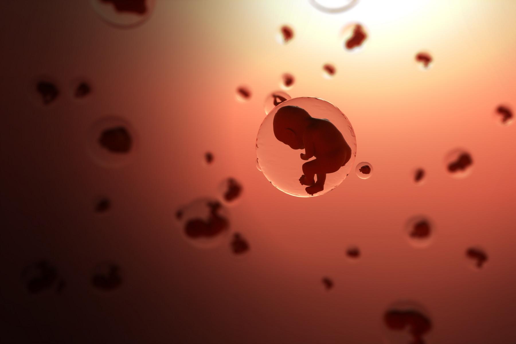 怀孕四个月男胎儿图