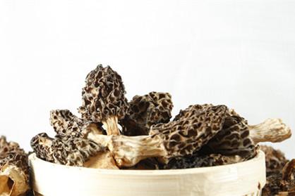 羊肚菌可以和什么煲汤 食谱推荐