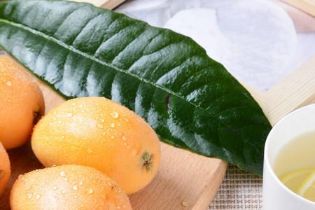 新鲜的枇杷叶有毒吗