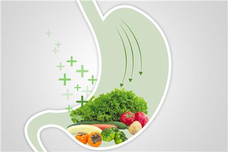 枇杷叶怎么煮水止咳