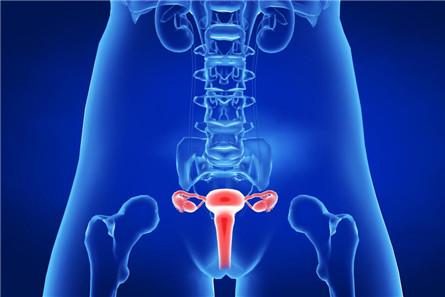 怎么判断阴道是否松弛 教你判断自己阴道松紧