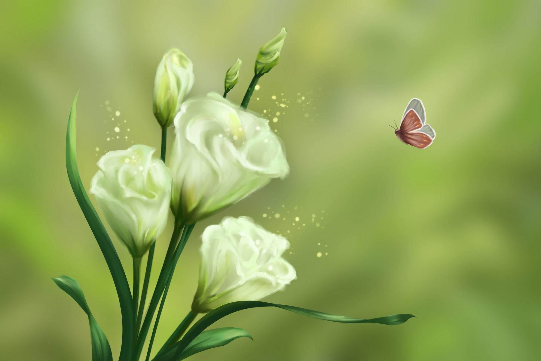 关于郁金香的诗