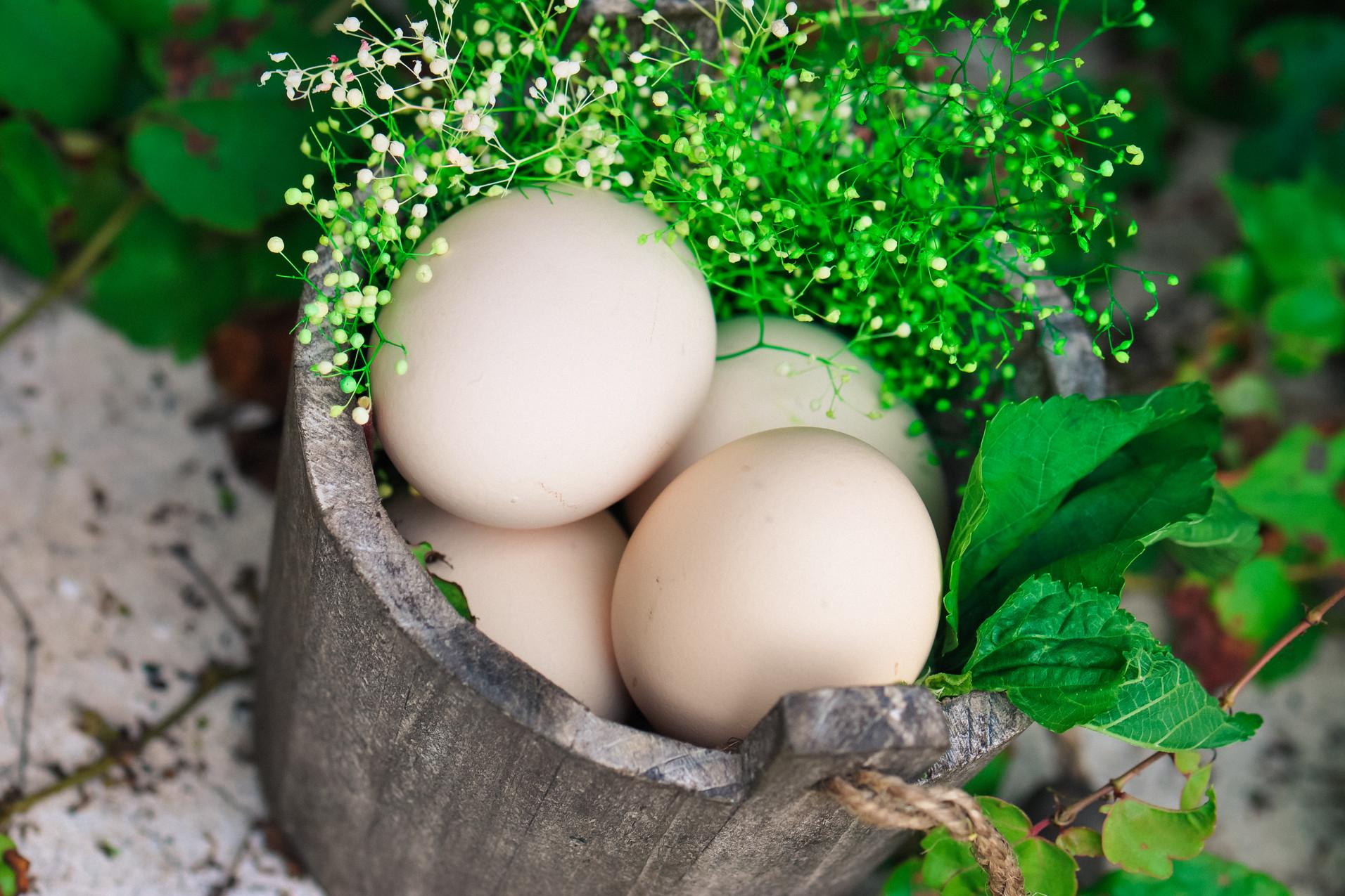 三月三有什么风俗活动