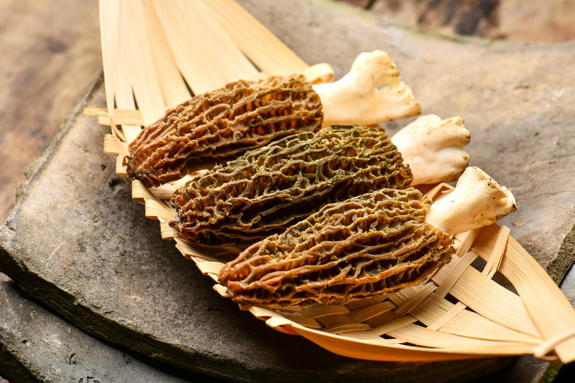 羊肚菌多少钱一斤 价格让人吃惊