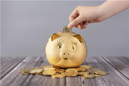 2019年猪宝宝哪天出生最好