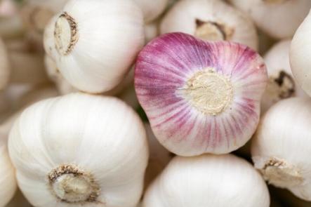 大蒜止咳的方法