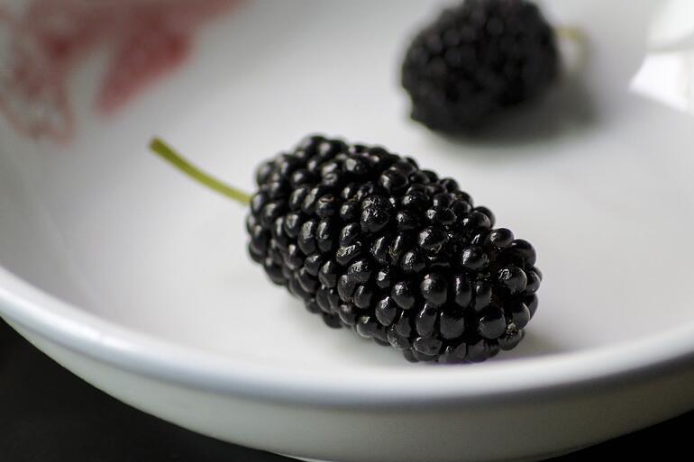 桑葚是热性还是凉性的？