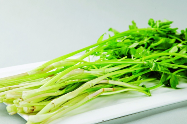 孕妇能吃野芹菜吗