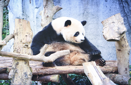 孩子经常拖延怎么办