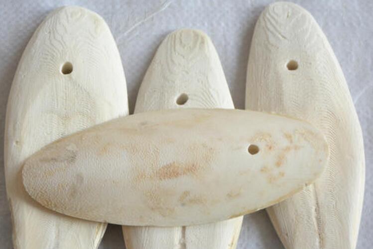 海螵蛸治烧心怎么吃