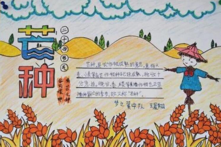 二十四节气之芒种手抄报