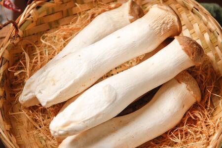 什么人不适合吃杏鲍菇 宝宝可以吃吗