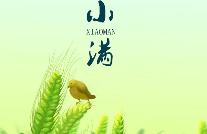 小满过后几天收麦子 小满收麦还是芒种