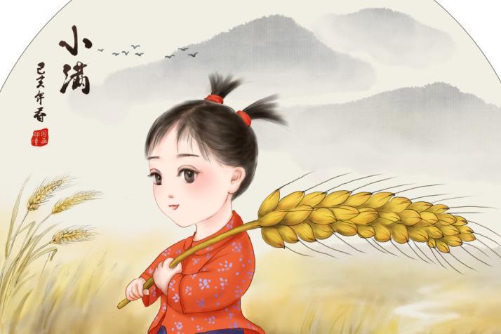 小满后面的节气是什么 小满的下一个节气是什么