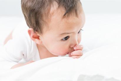 属猪的陈姓名字大全