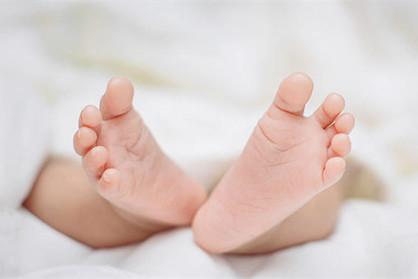 楚辞大气的名字大全集