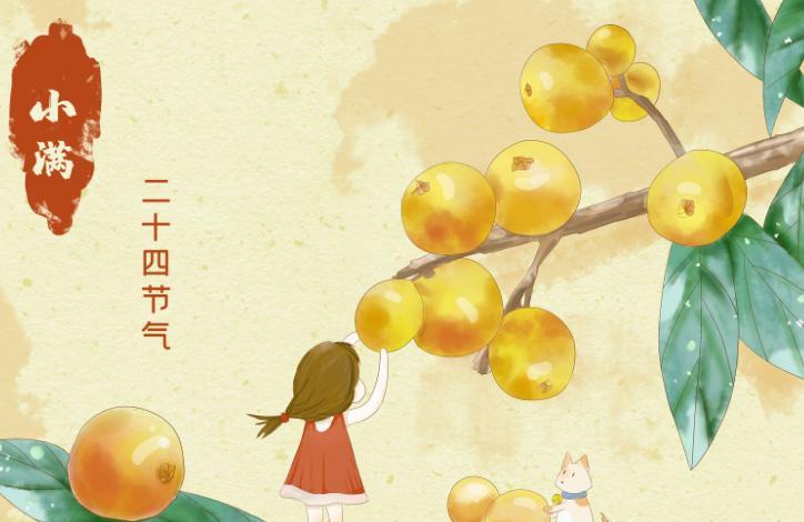 关于小满的谚语诗词有哪些 关于小满的俗语或谚语