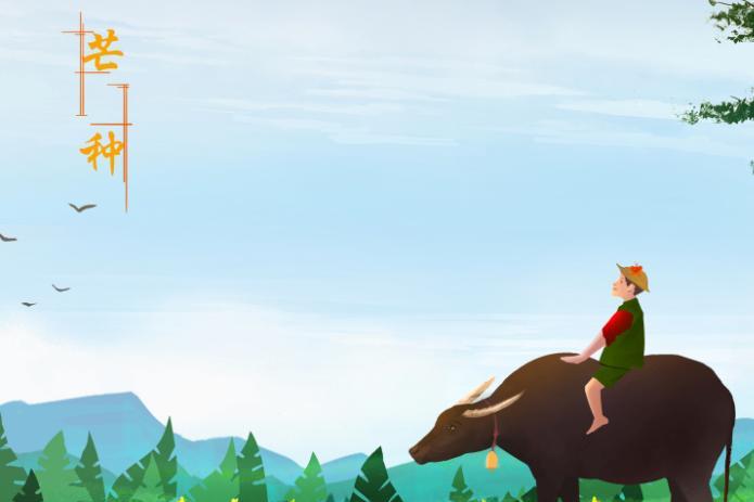 2019年芒种是几月几日几点几分 2019年芒种是哪一天