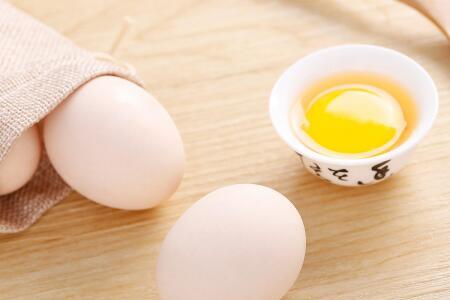 鸽子蛋一天可以吃几个