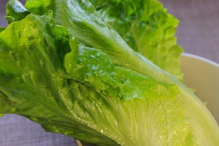 孕妇吃生菜会拉肚子吗 孕妇吃生菜拉肚子怎么回事