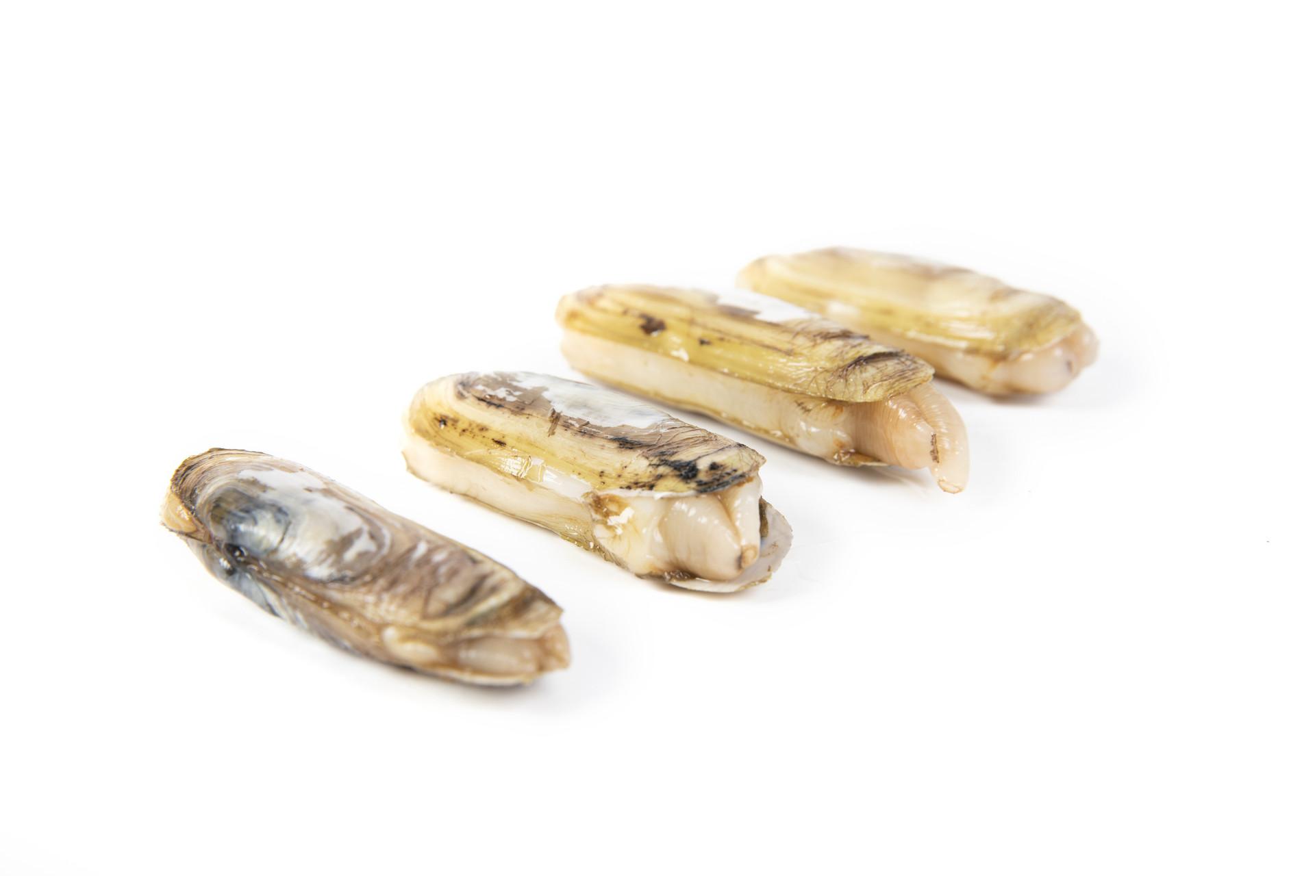 蛏子可以生吃吗