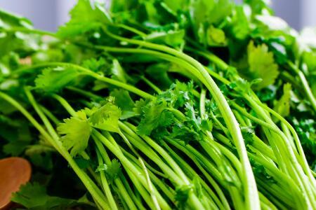 香菜治痔疮土方法 香菜能治痔疮吗