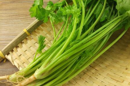 香菜根治冠心病吗
