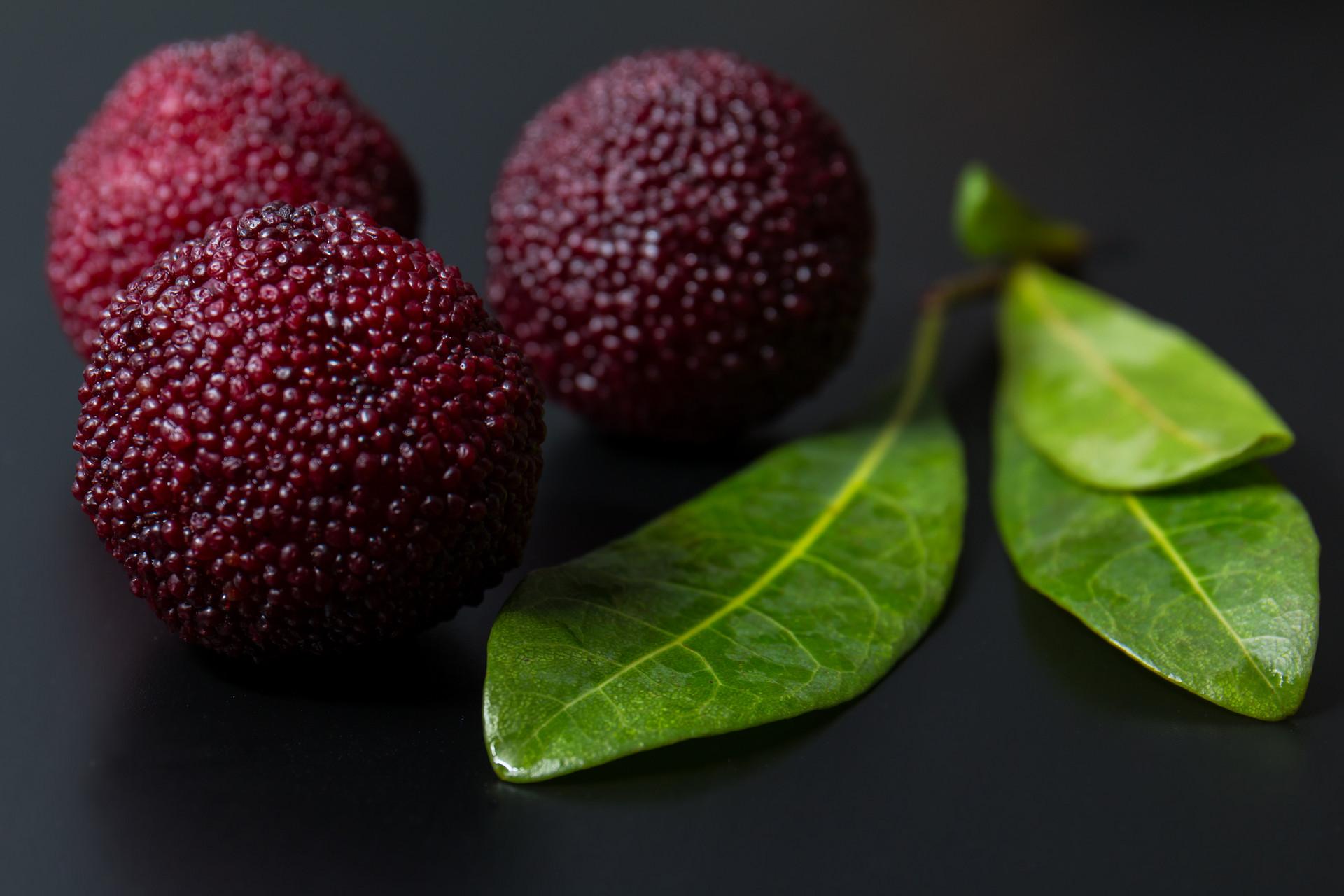 杨梅泡酒后杨梅要捞出来吗