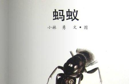 蚂蚁-百科绘本在线阅读