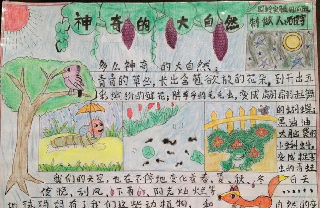 关于生物链的手抄报