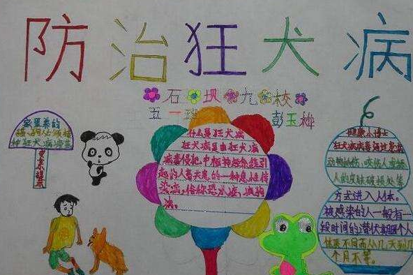 预防狂犬病手抄报