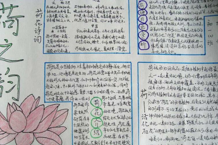 关于花的手抄报