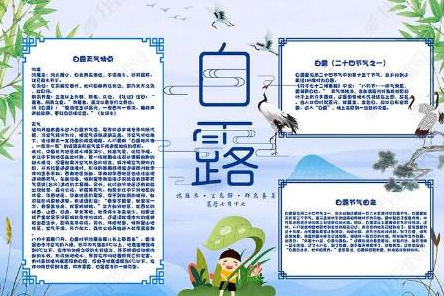 二十四节气之白露手抄报