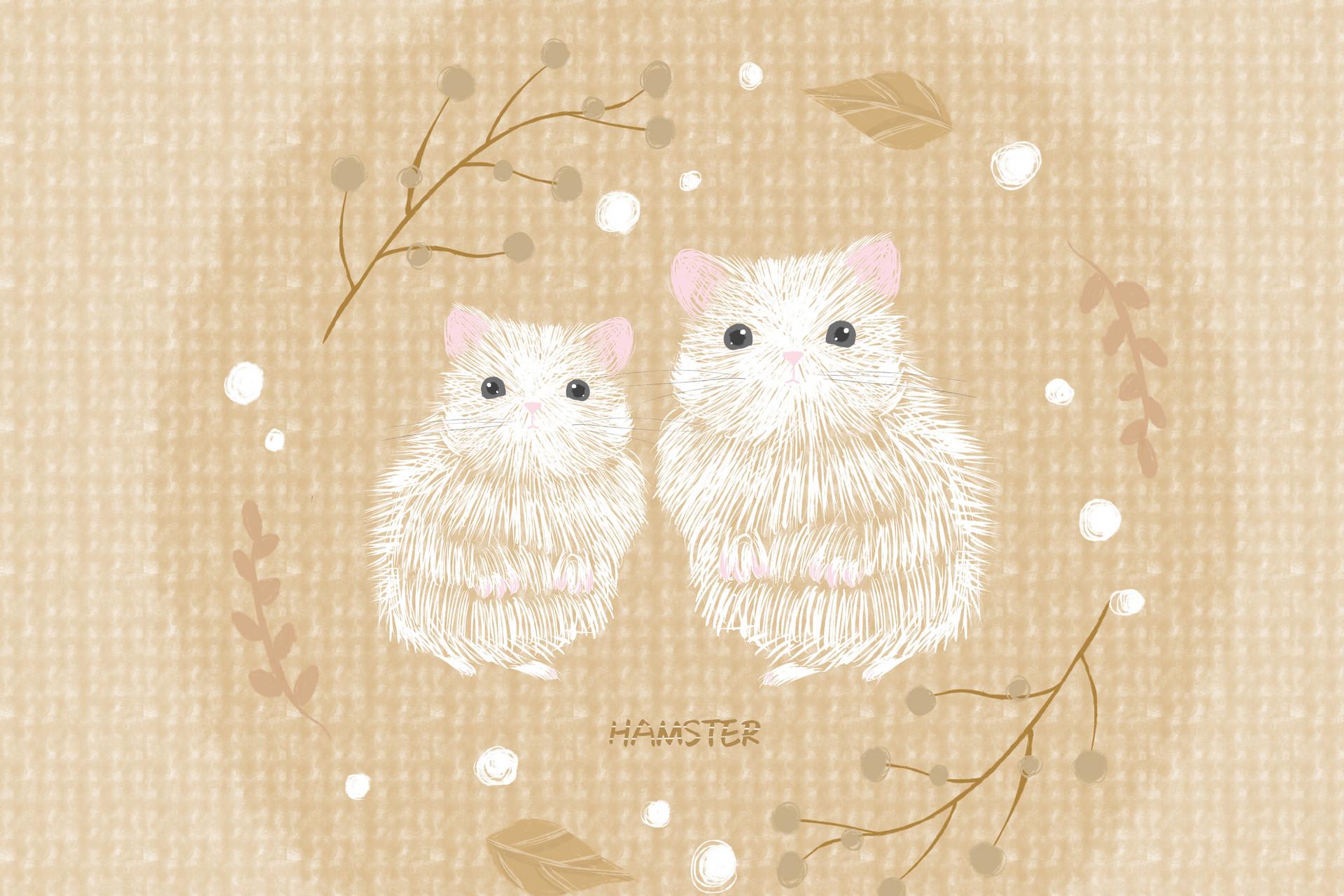 2020年鼠宝宝什么命