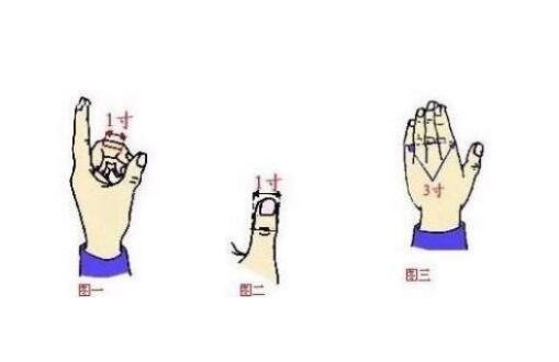 手指同身寸定位法 告诉你小儿推拿怎么取穴