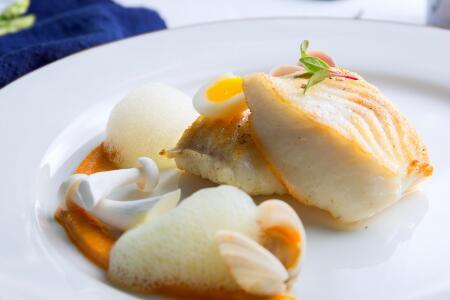 三文鱼和鳕鱼哪个更适合宝宝