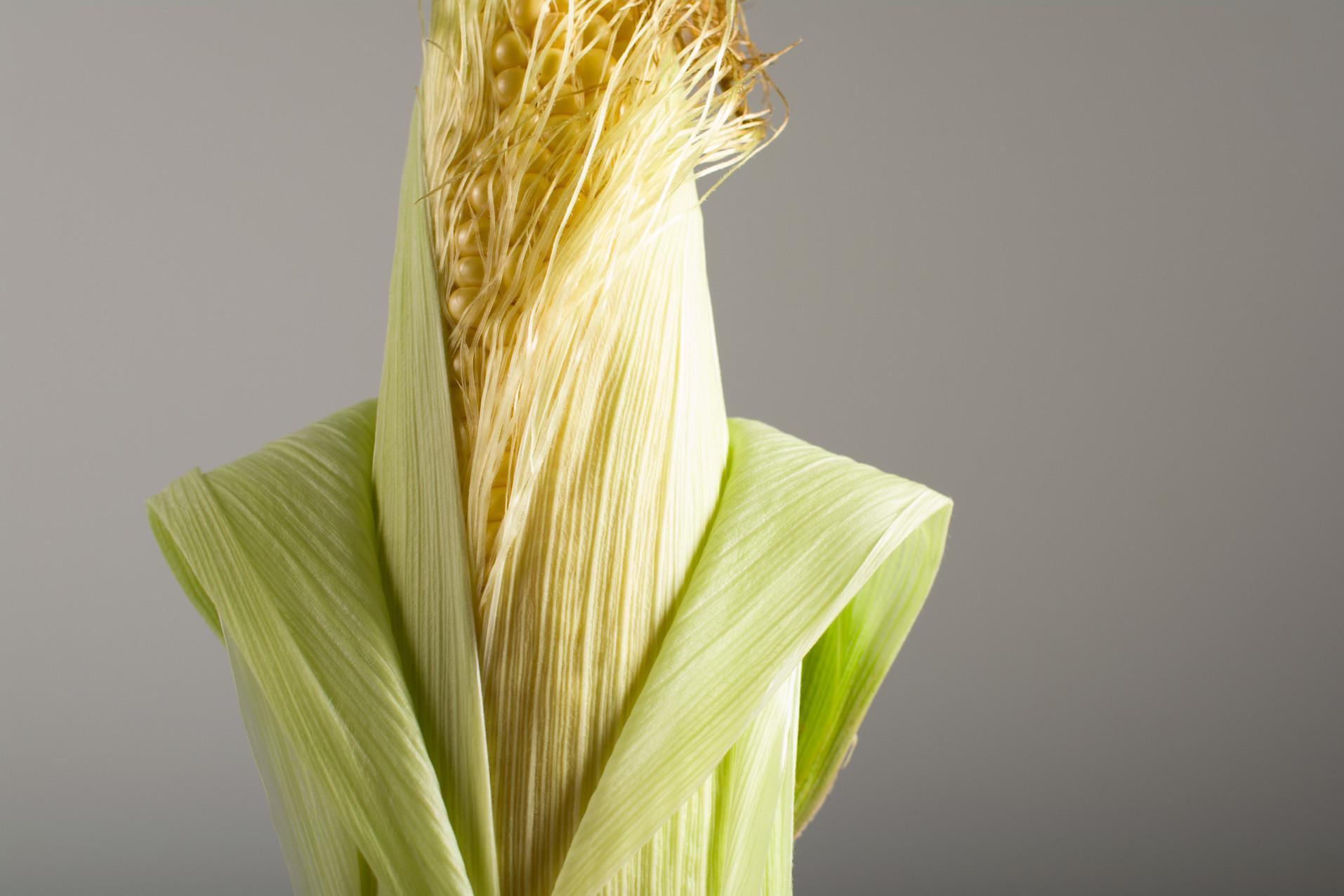 孕妇水肿可以喝玉米须煮水吗