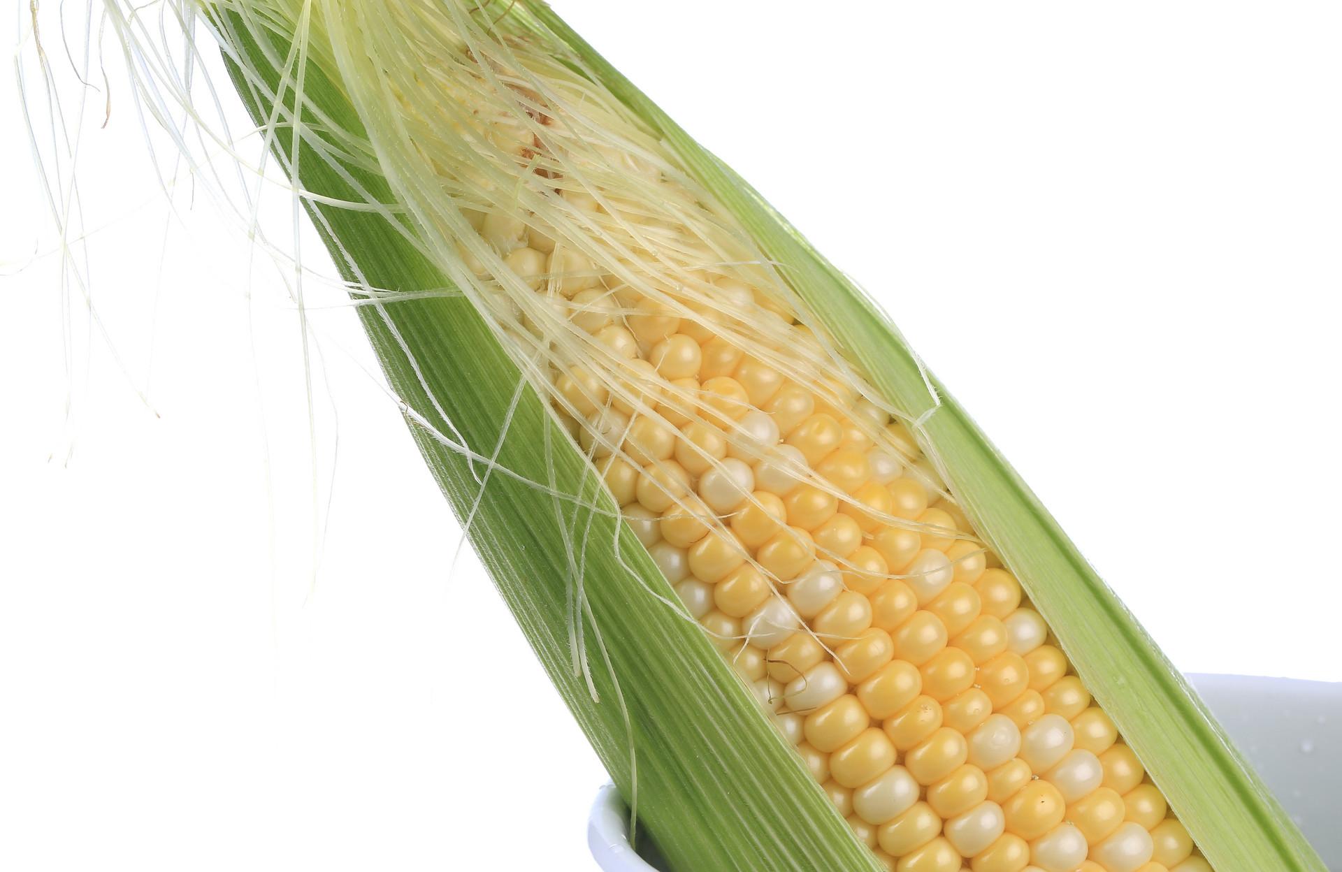 玉米须可以减肥吗