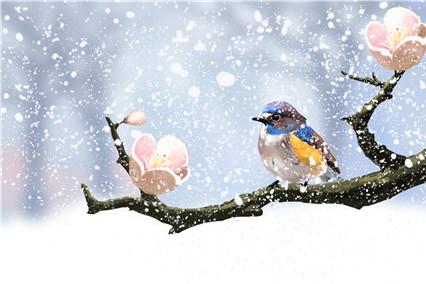 2019-2020年数九天时间点 2020年三九天时间表