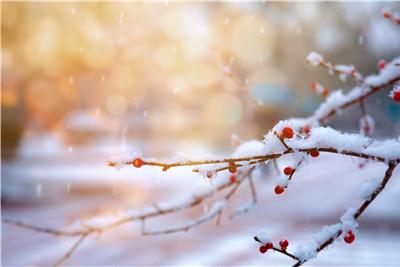 2019年什么时候入冬结束 2019年立冬开始和结束时间