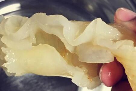 鱼胶怎么泡发 详解鱼胶泡发的正确方法