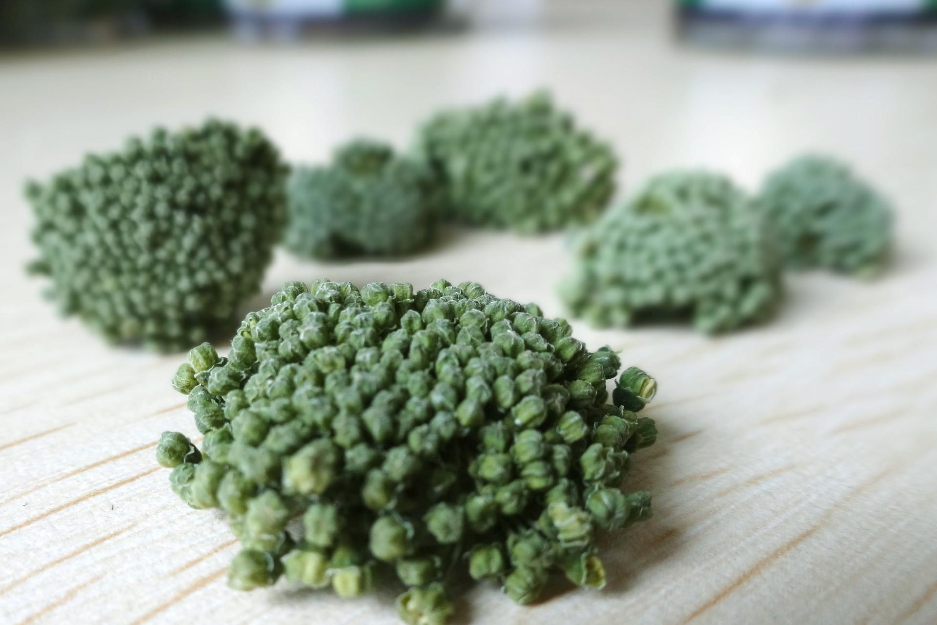 三七花泡水喝的禁忌