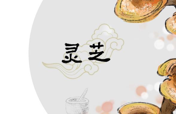 什么人不適宜吃靈芝 孕婦兒童要注意