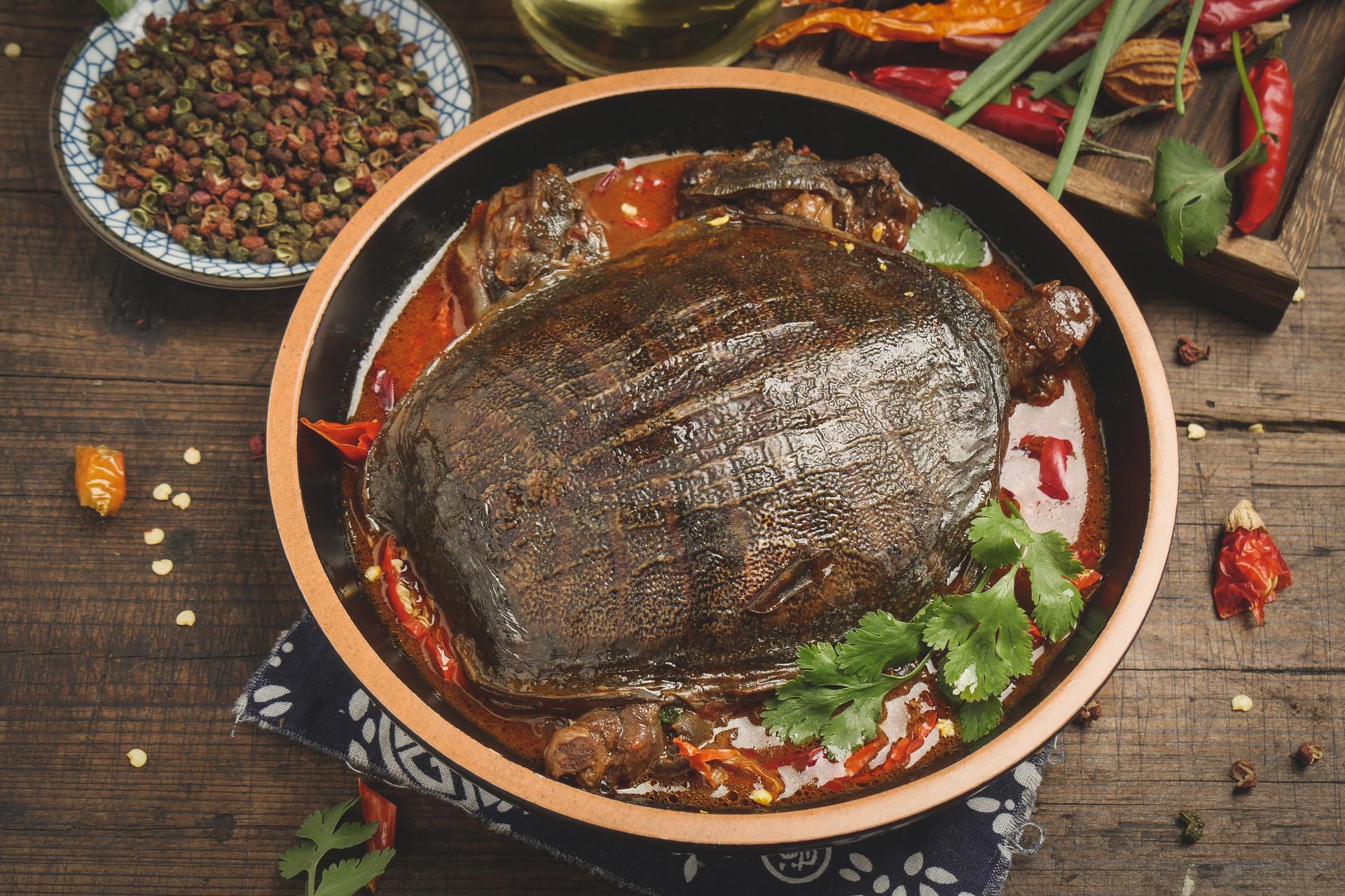 甲鱼身上有病毒吗