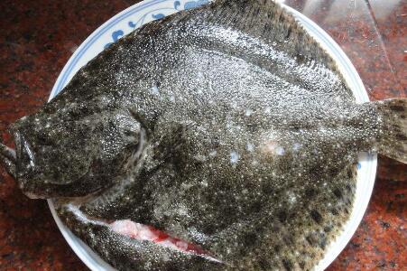 多宝鱼和比目鱼是一种鱼吗